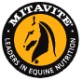 Mitavite Website Mitavite Website
